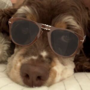 Meet your Posher, Ana